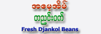 Djankol Bean ( 3 Pieces)