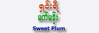Shin-Yi Sweet Plum