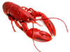 Frozen Seafoods