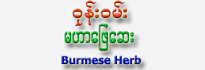 Burmese Herb