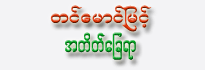 Tin Maung Myint