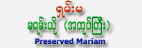 Shan Ma Brand Preserved Mariam - Large Packet