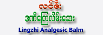 Lingzhi Analgesic Balm