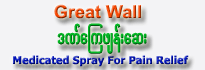 Great Wall Medicated Pain Relief Spray
