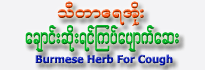 Thidar Ye Oe 