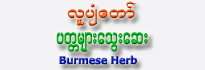 Lu Pyan Daw Pattamyar(1 piece)