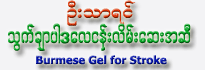 Burmese Gel for Stroke