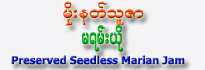 Moe Nat Thuzar Preserved Marian Fruit (spicy)